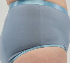 Ladies Full Brief Blue 400ml - Assist Ability Australia